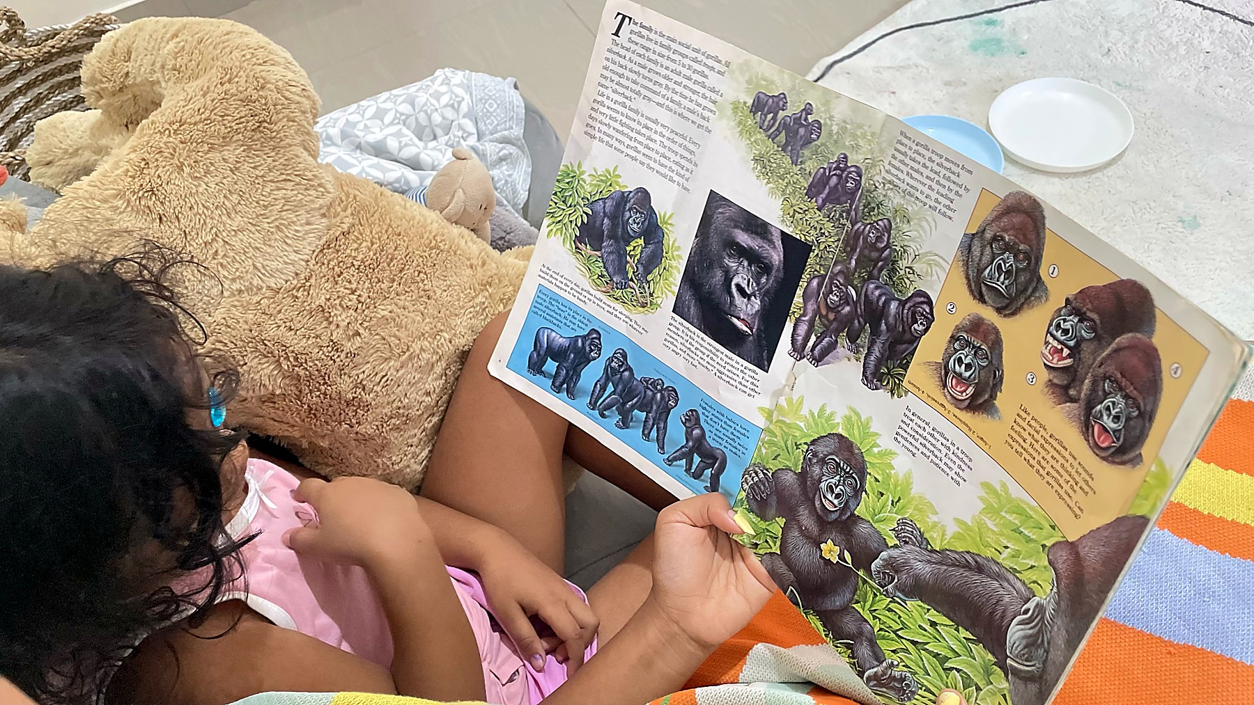 A child reading a picture book with a soft toy nearby